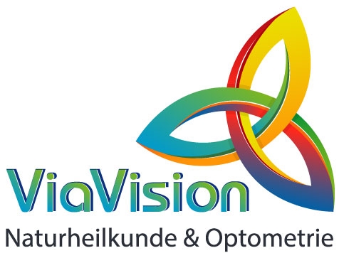 Via Vision Fortbildung