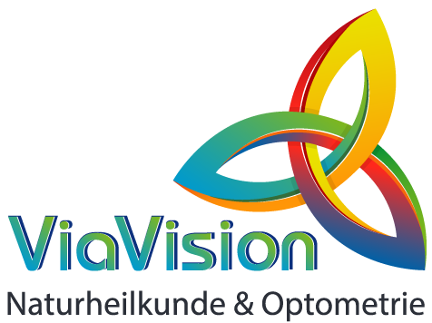 Via Vision Fortbildung